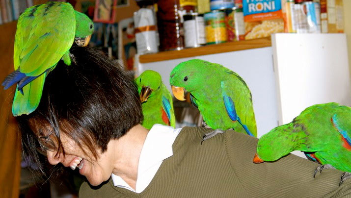 Grace with Eclectus Babies